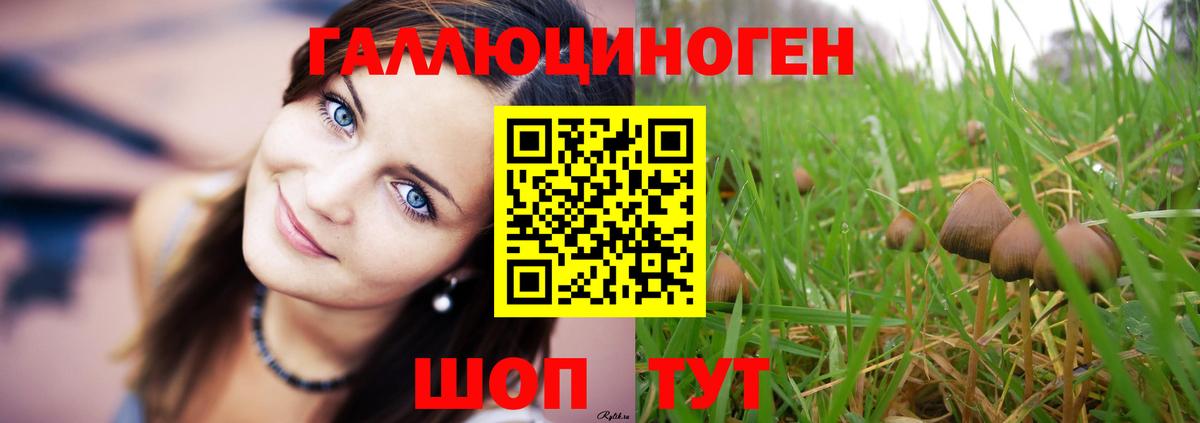Касимов  наркошоп  Вход с VPN  Псилоцибиновые грибы Psilocybine cubensis 